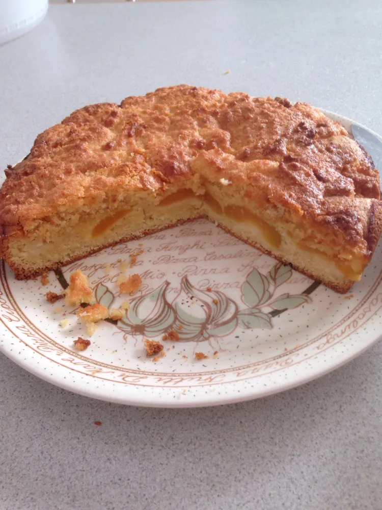 Gâteau aux abricots et à la noix de coco