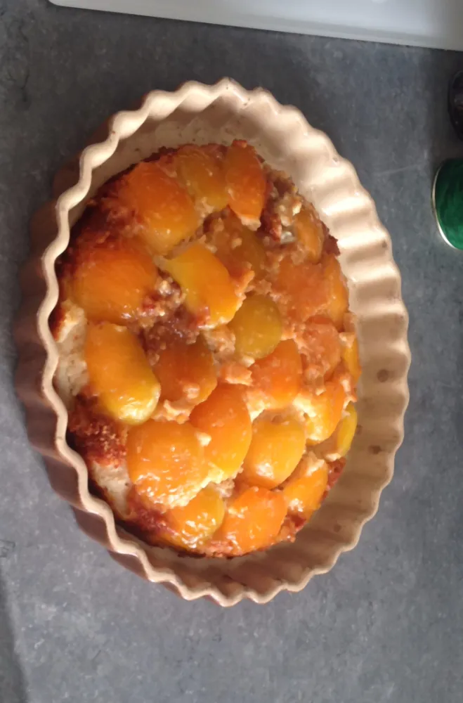 Gâteau style baba aux abricots et au rhum