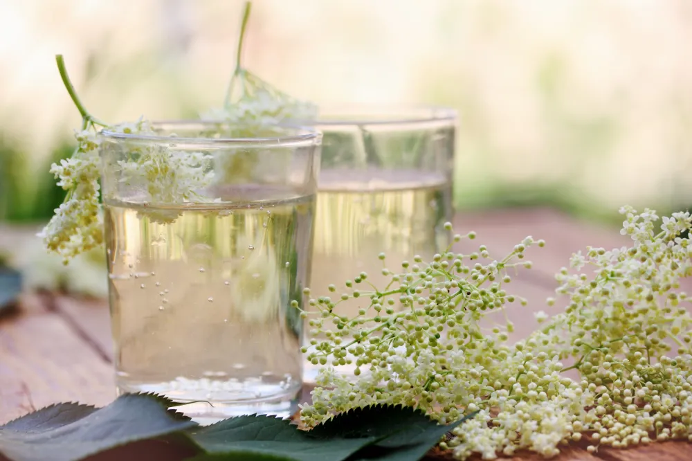 Sirop de fleurs de sureau facile