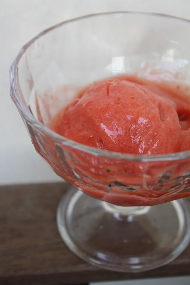 Sorbet fraise & rhubarbe