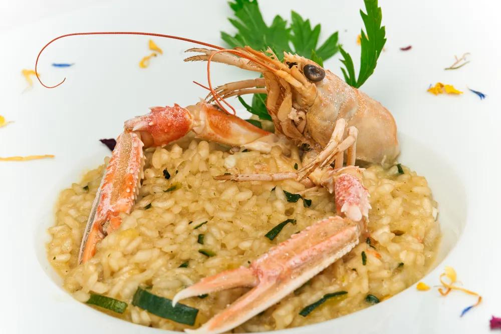 Risotto à la crème de langoustine