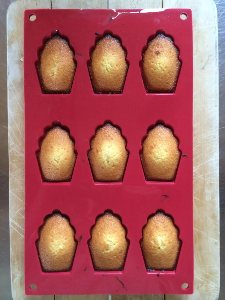 madeleines