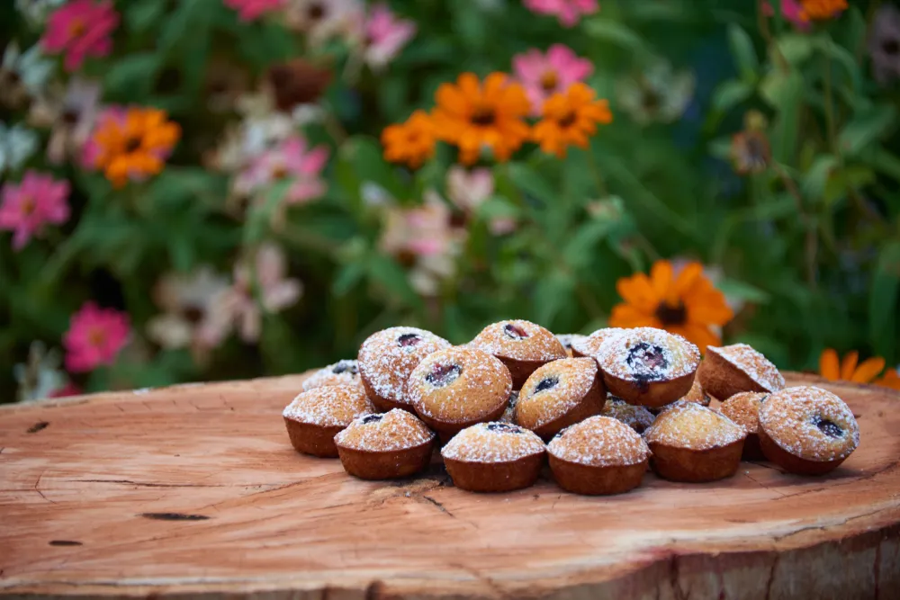 Financiers aux mûres