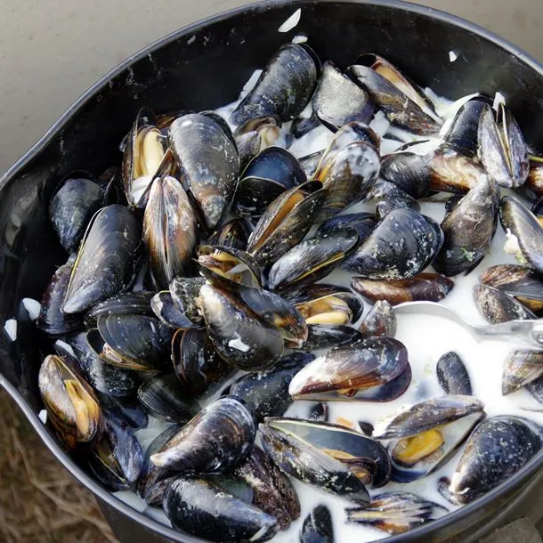 Moules à la crème et au chèvre