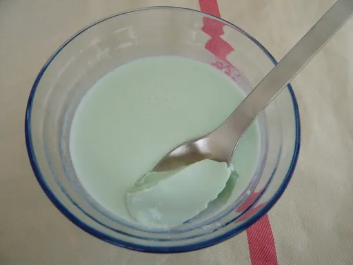 Panna cotta à la menthe