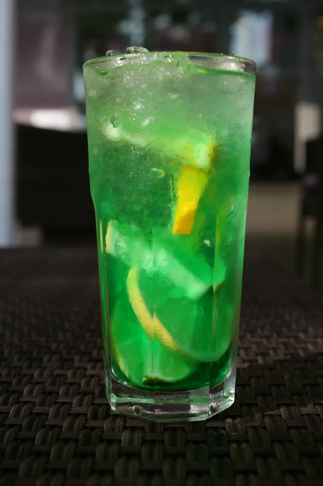 Sirop de menthe maison (sucre de canne)