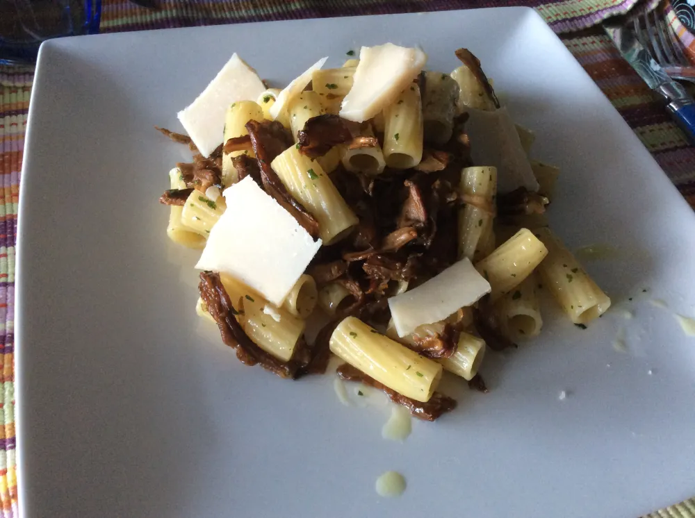 Rigatoni aux champignons des bois