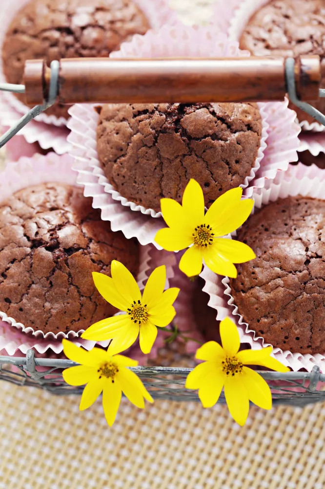 Muffins très chocolat