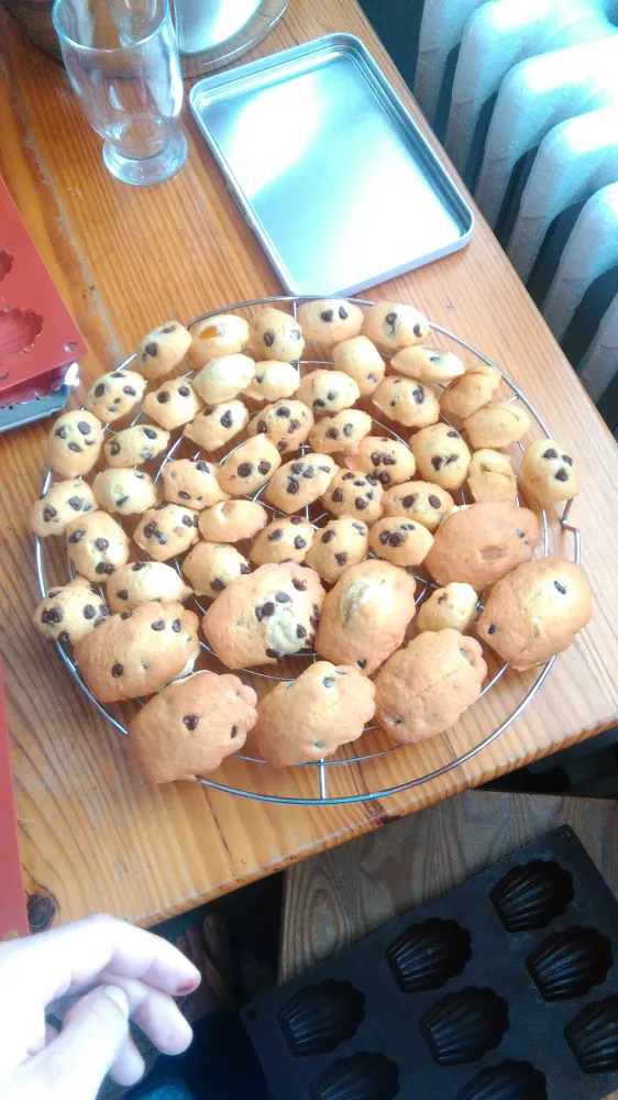 Madeleines moelleuses pépites de chocolat et écorces doranges