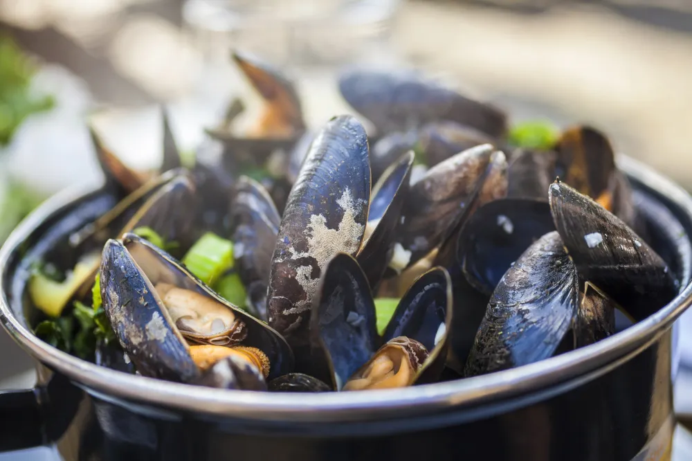 Moules basquaises