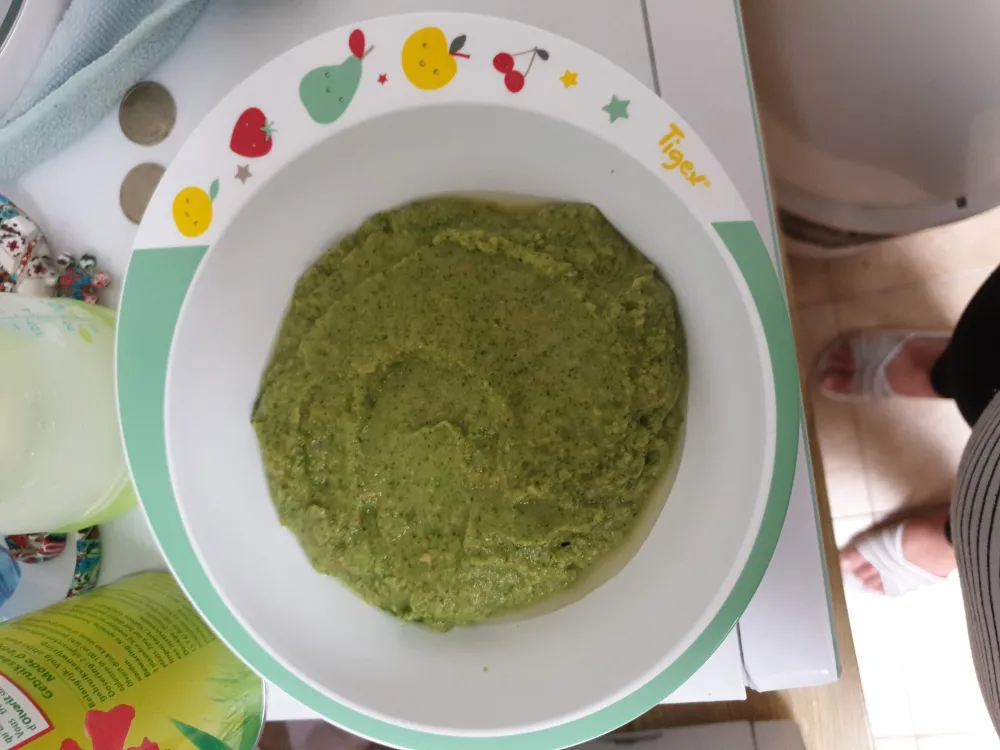 Soupe de crocodile ( pour bébé )